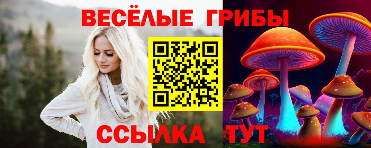 Галлюциногенные грибы прущие грибы  Псилоцибиновые грибы мицелий  Краснознаменск  Вход с VPN 